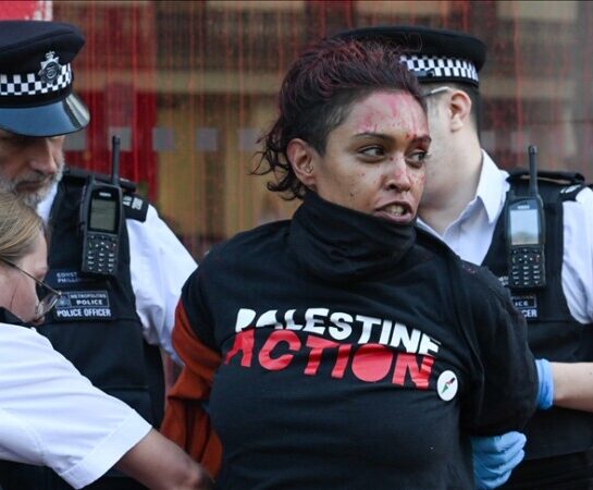 Palestine Action Terror Charges UK