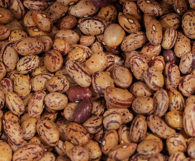 soybeans