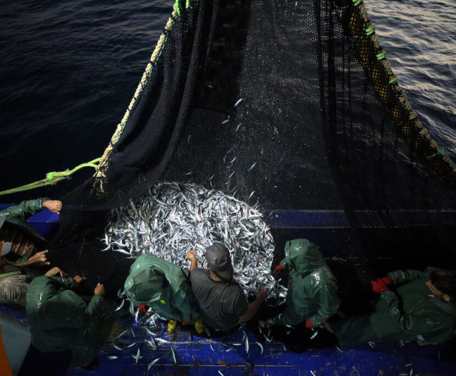 Fishing in Turkey