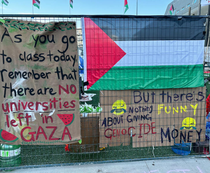 Palestine students UK