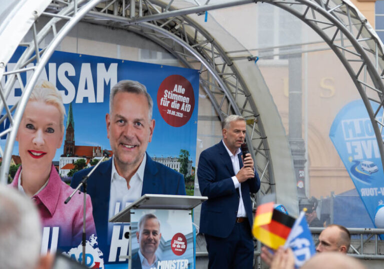 AfD in Germany
